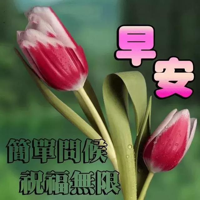 最新早上好带字图片，唤醒美好一天的开始