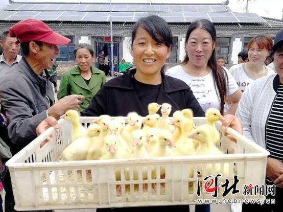 承德围场车祸最新进展，事故现场、救援与后续关注