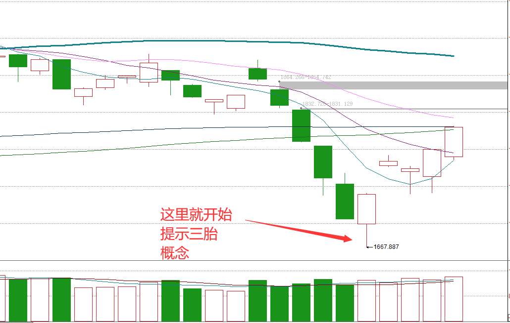 2024澳门今天特马开什么｜深度解答解释定义