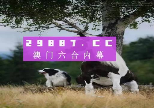 新澳门天天彩正版免费｜准确资料解释落实