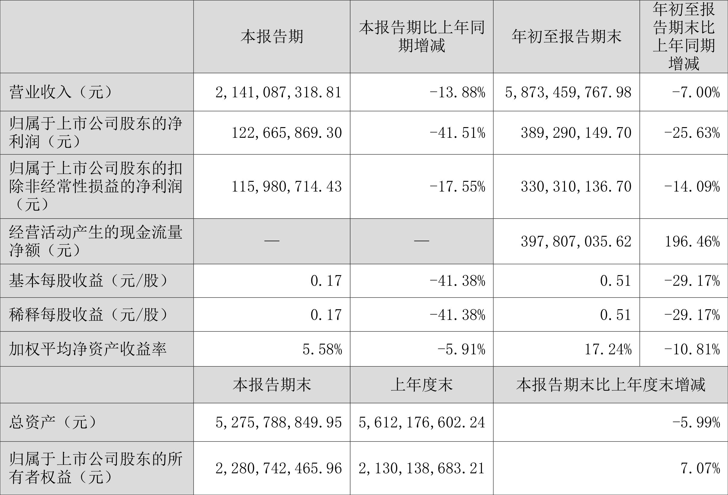 揭秘兔宝宝最新消息与故事，探寻代码背后的故事