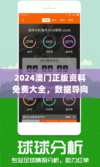 2024澳门今晚开特,灵活性执行计划_NE版54.460